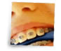 Wertz Orthodontics